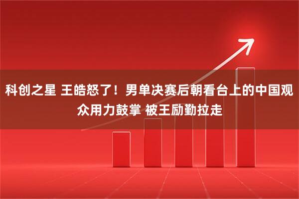 科创之星 王皓怒了！男单决赛后朝看台上的中国观众用力鼓掌 被王励勤拉走