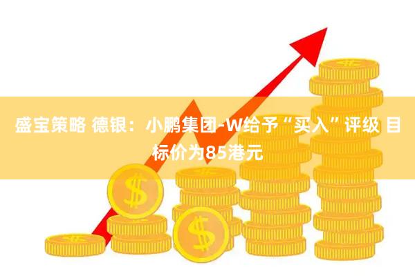 盛宝策略 德银：小鹏集团-W给予“买入”评级 目标价为85港元